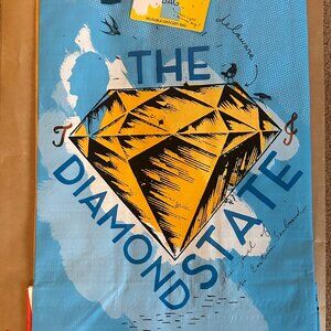 Trader Joe’s Plastic Reusable Shopping Tote Bag 6 Gallon Delaware Collectible